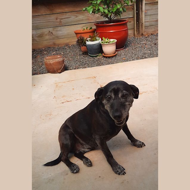 Photo of Ella