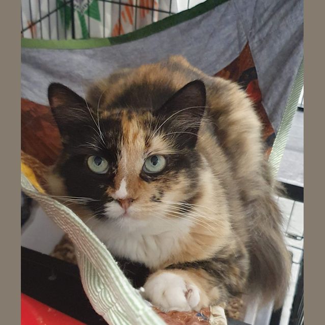 Photo of Mia & Bella