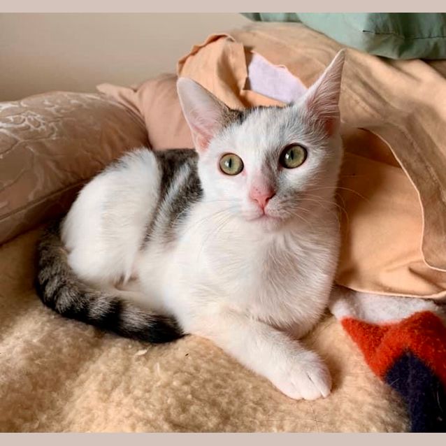 Photo of Luna