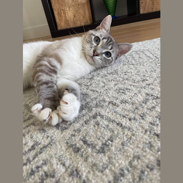 Photo of Polly ❤