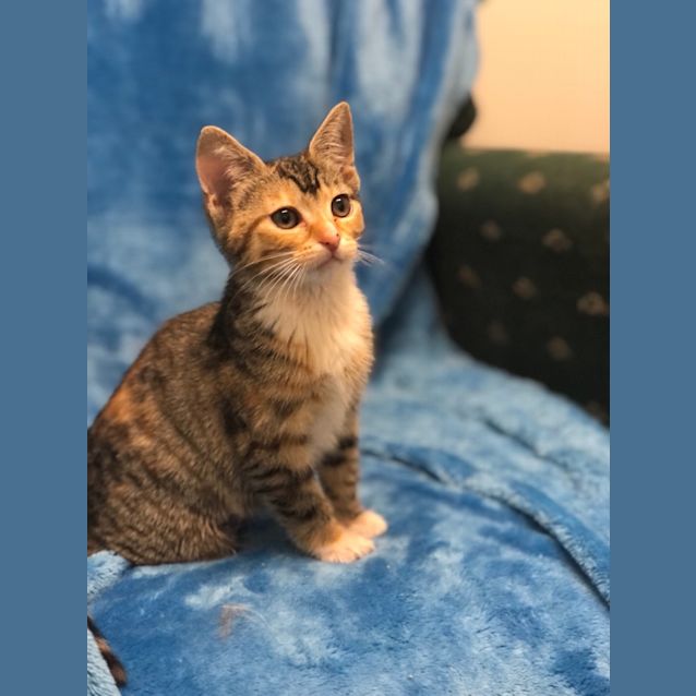 Photo of Adelina