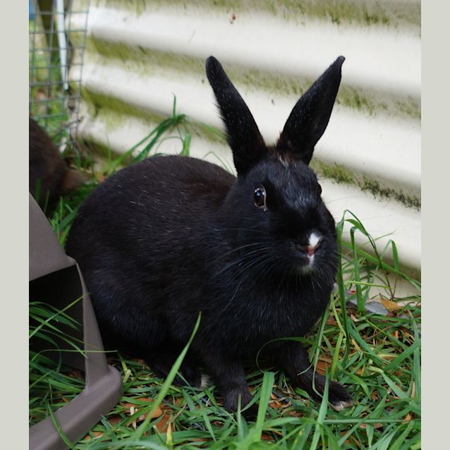 Photo of Mary Hoppins