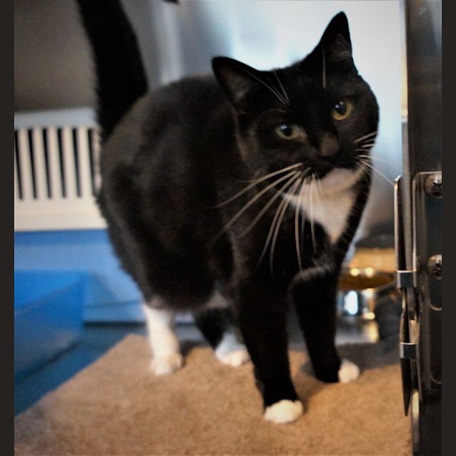 Photo of Delilah
