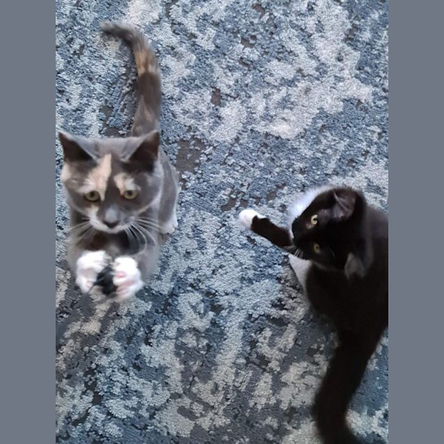 Photo of Maria Antoinette & Suzie ❤❤