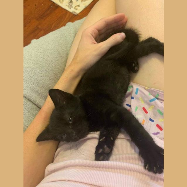 Photo of Bobby