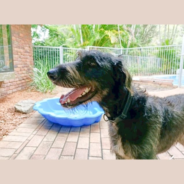 Photo of Gus
