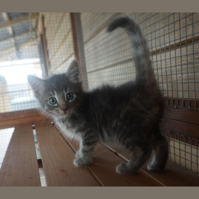 Photo of Finnegan
