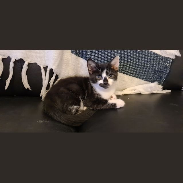 Photo of Mr Wobbles