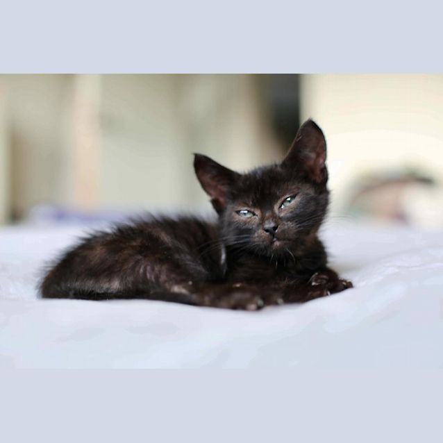 Photo of Pink And Floyd