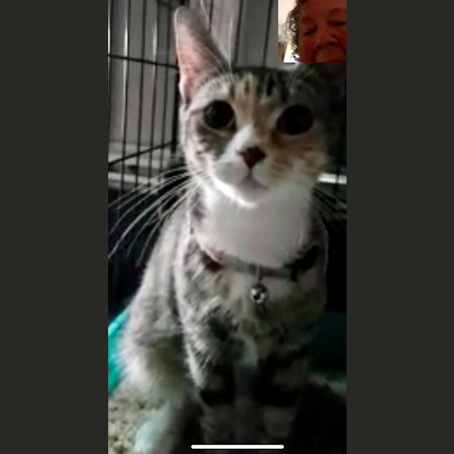 Photo of Miss Pat