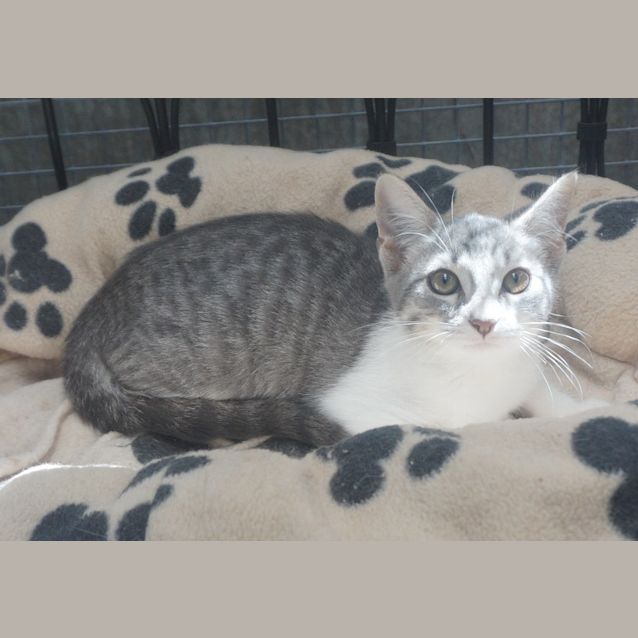 Photo of Kira
