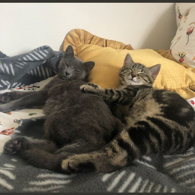 Photo of Etna And Sugar Vesuvius