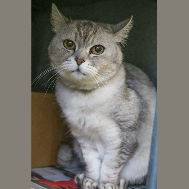 Photo of Narla