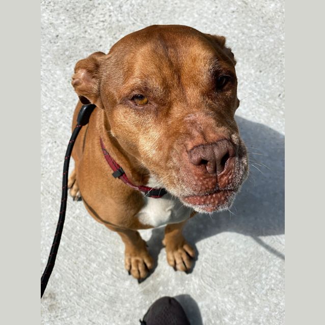 Photo of Ace