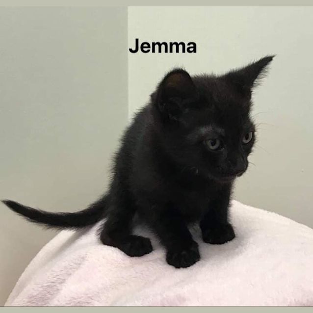 Photo of Jemma