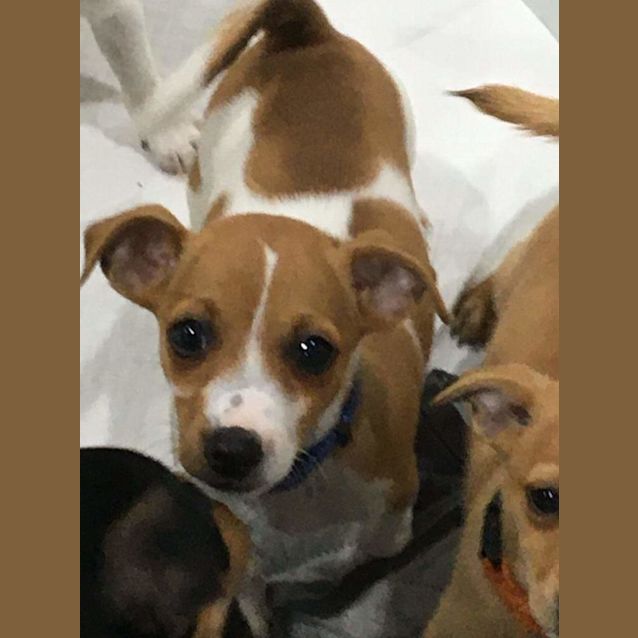 Photo of Scooter 💫