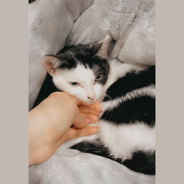 Photo of Larry 