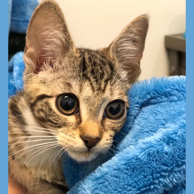 Photo of Tiny