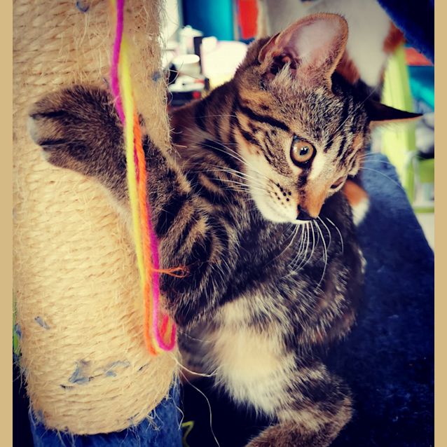 Photo of Tabitha