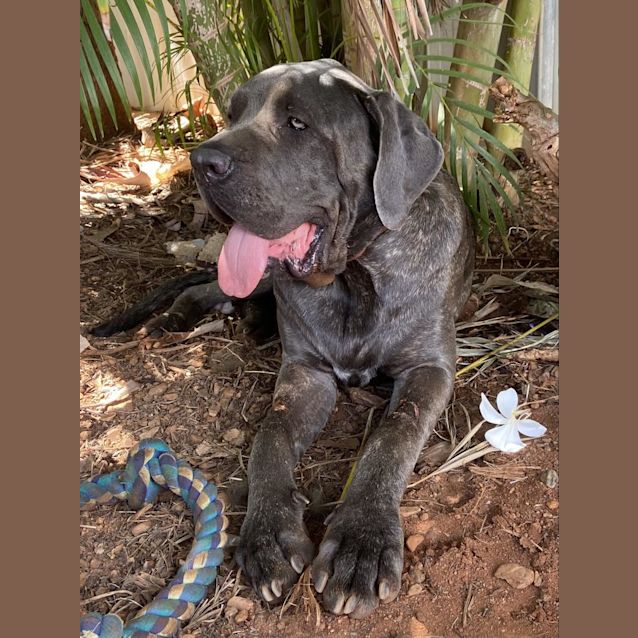 Photo of Odin