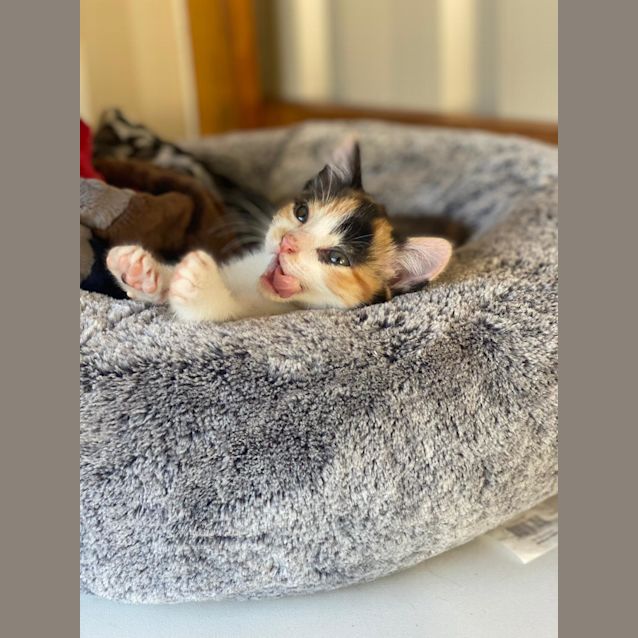 Photo of Smiggles