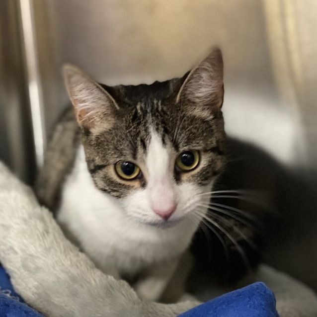 Photo of Delilah