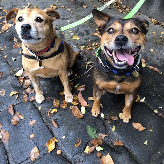 Photo of Lily & Bella