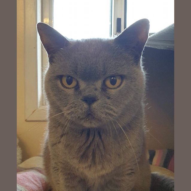 Photo of Gracie Mae