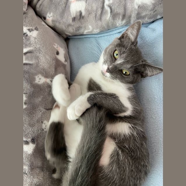 Photo of Sugar West (Now Sugar)