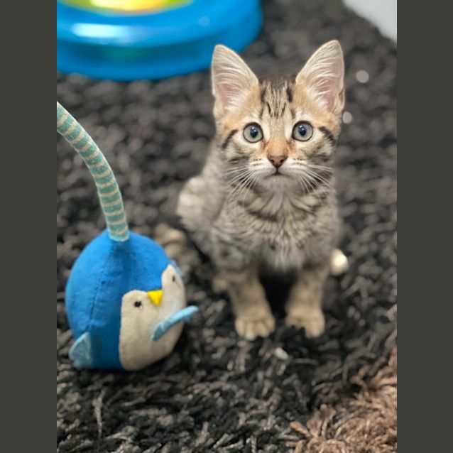 Photo of Maya ❤️