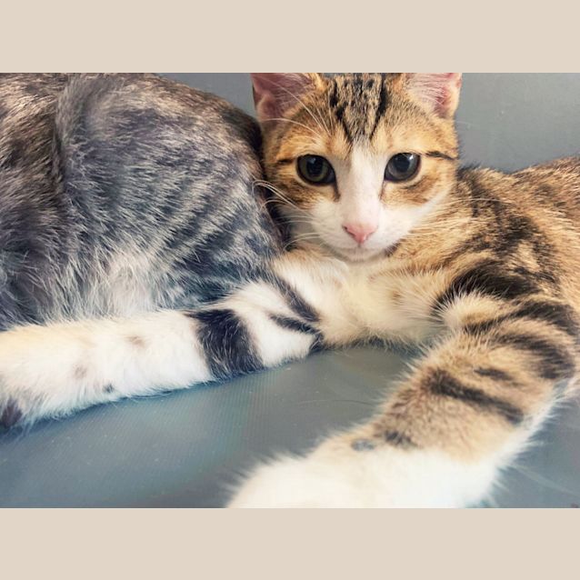 Photo of Freida And Fritz