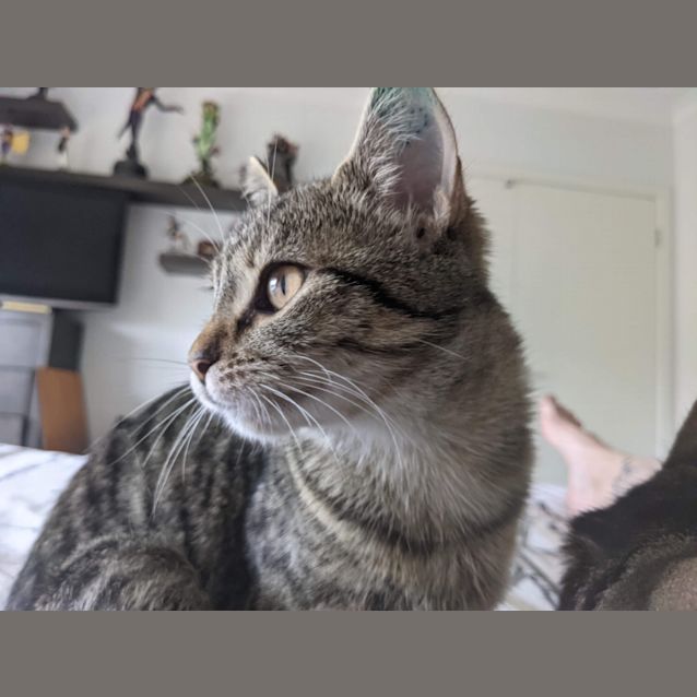 Photo of Jill
