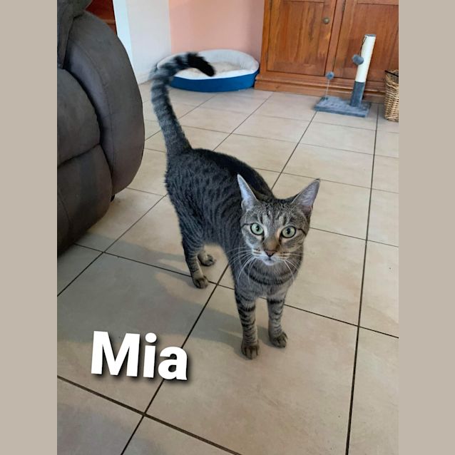 Photo of Mia