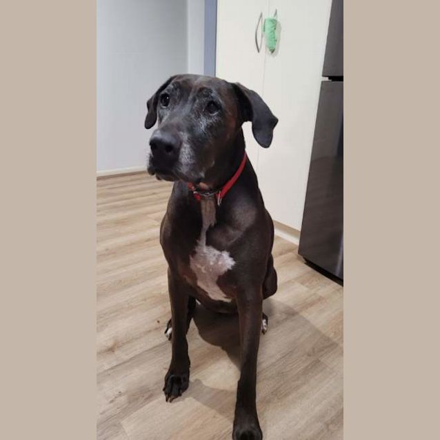 Photo of Coco