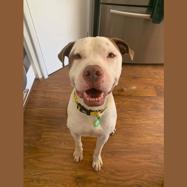 Photo of Camaro Dl2612