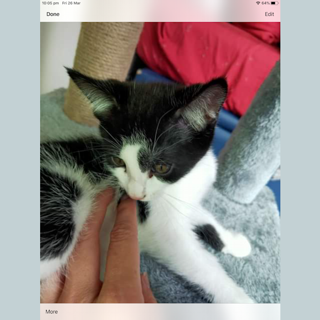 Photo of Mauby