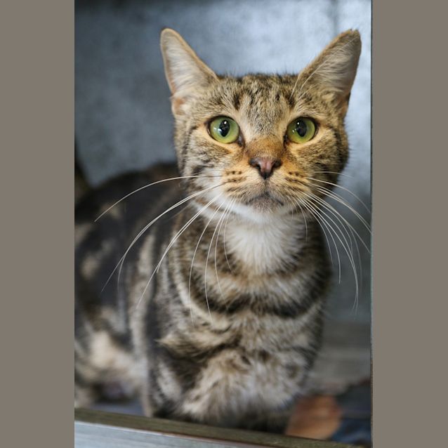 Photo of Zara