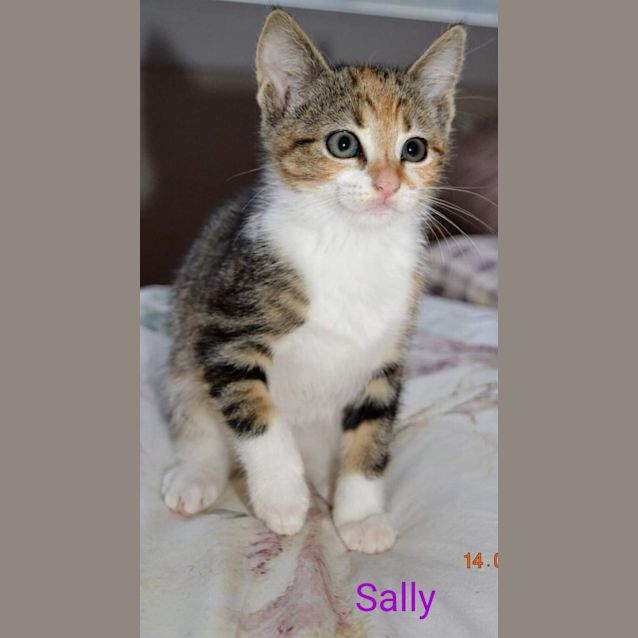 Photo of Sally