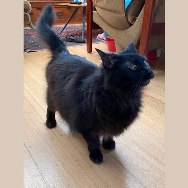 Photo of Beautiful Hope