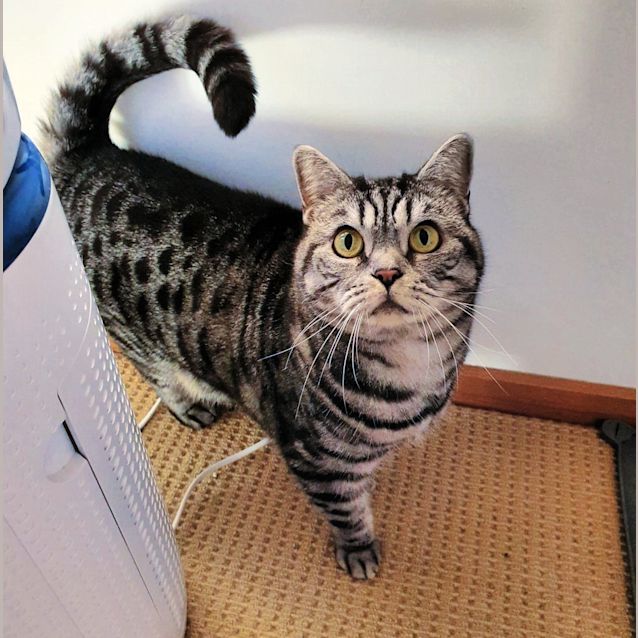 Photo of 🐻 Pika & Nuffy 🐻