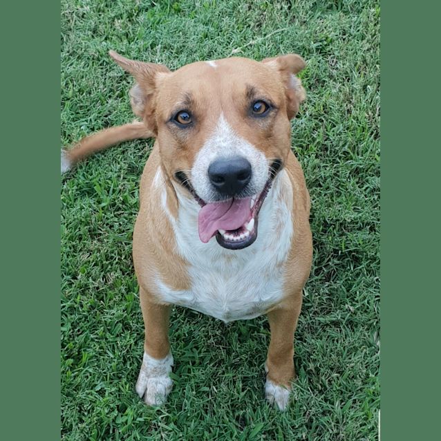 Photo of Bobbie