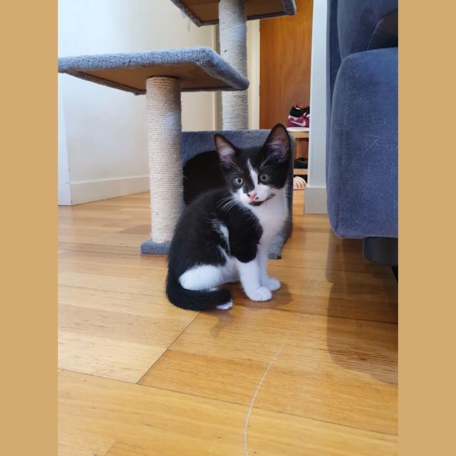 Photo of Wilbur