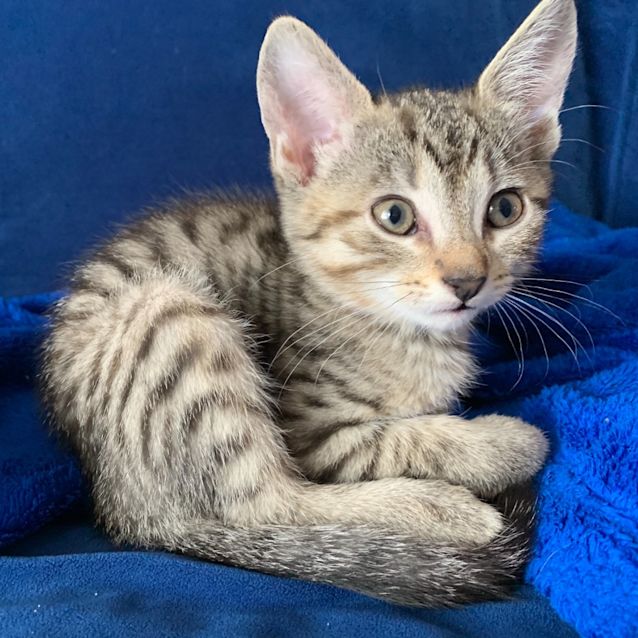 Photo of Tiggy