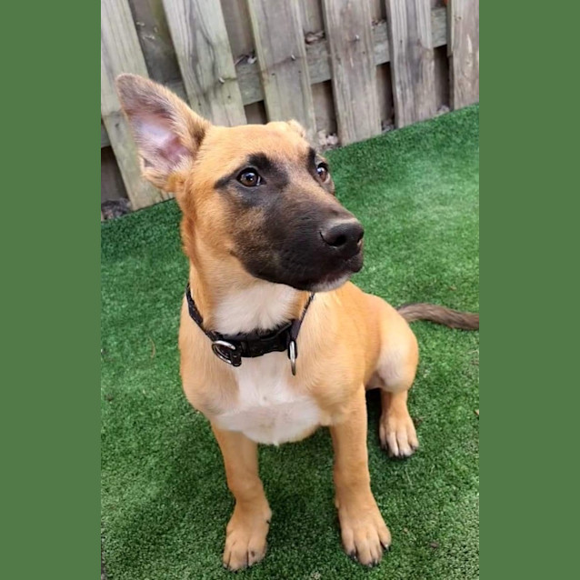 Photo of Lucy