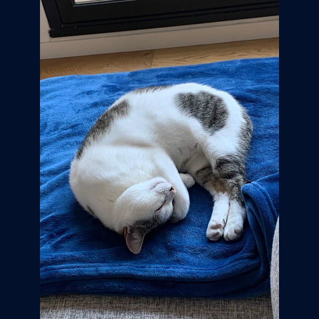 Photo of Silvi