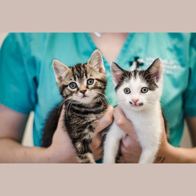 Photo of Margaret & Vlad