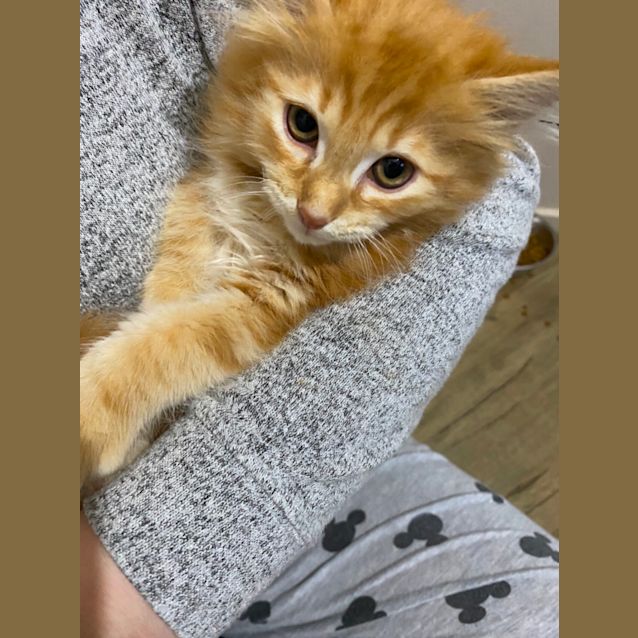 Photo of Mo
