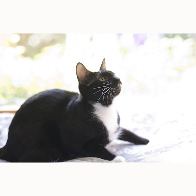 Photo of Lexi