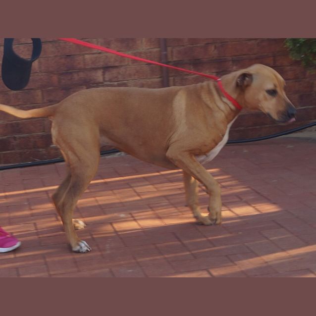 Photo of Maggie