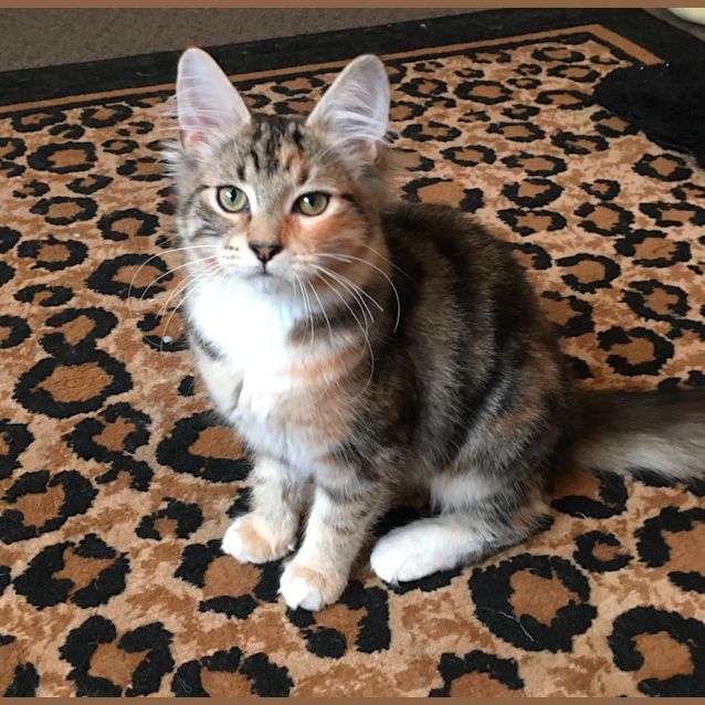 Photo of Claudette   Located In Preston